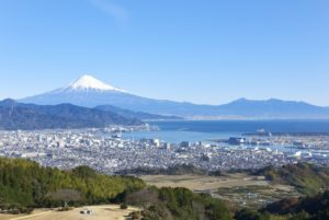 静岡の厳選お土産 お菓子以外にも雑貨やお茶など名物豊富 ふじっこのトラベルテック